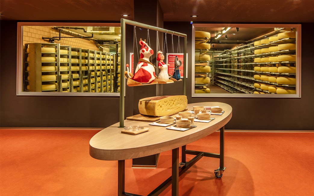 Cheese aging room with tasting setup on Bern tour from Zürich.