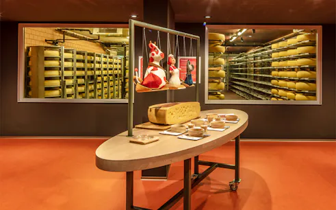 Cheese aging room with tasting setup on Bern tour from Zürich.