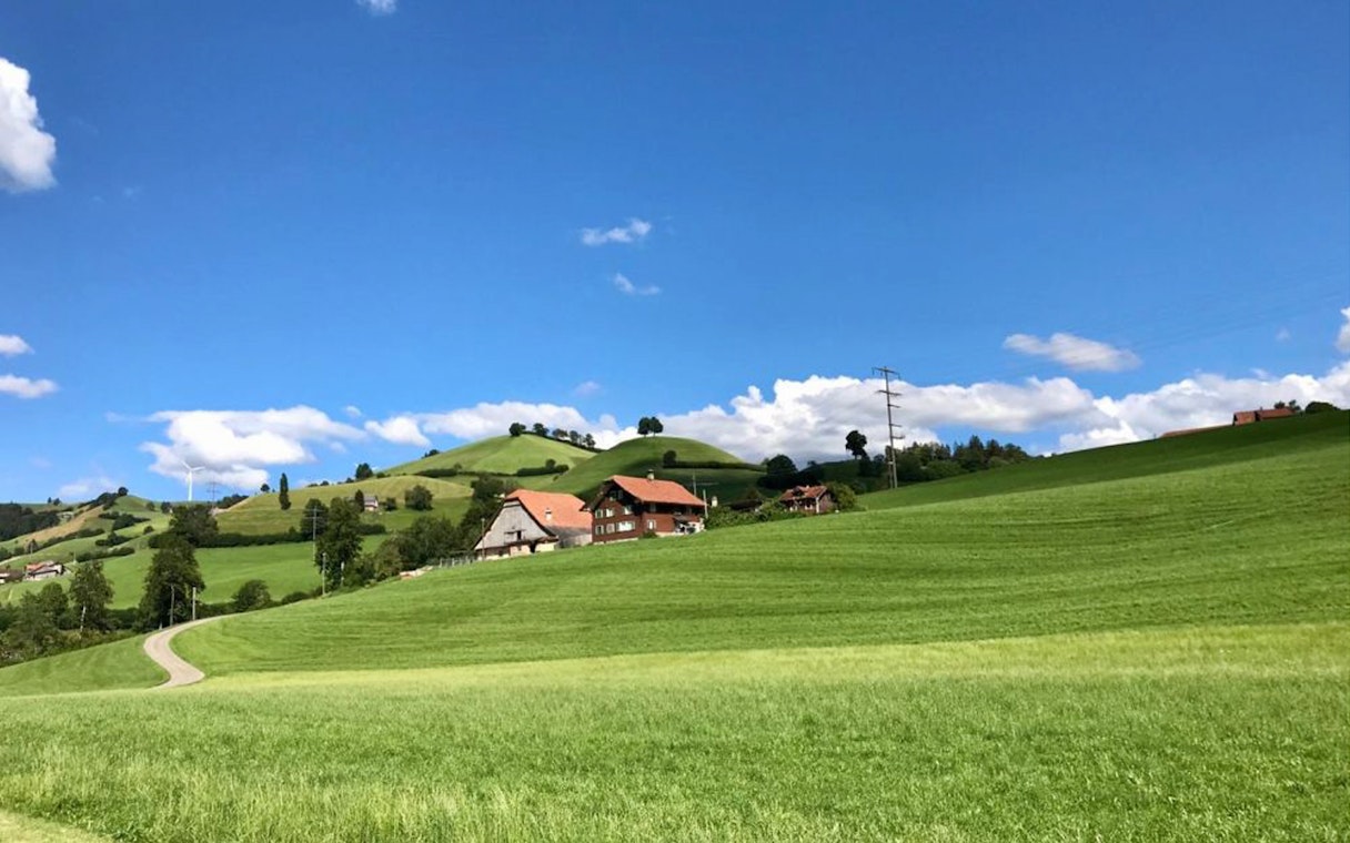 Rolling green hills with farmhouses near Bern, Switzerland, on a sunny day.