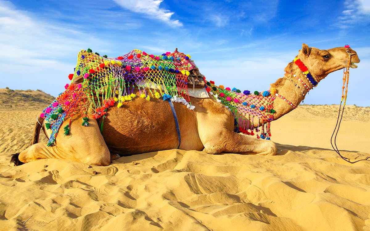 20 mins quad bike, desert safari & entertainment-8 20 mins quad bike, desert safari & entertainment-8