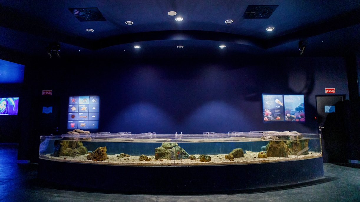 Atlantis Aquarium Timings