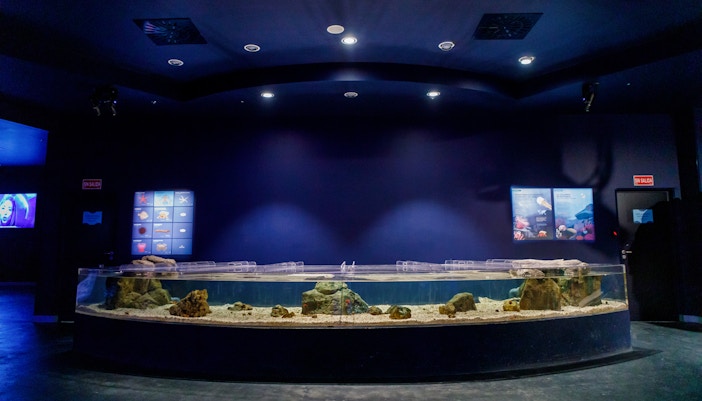 Educational activities at Atlantis Madrid