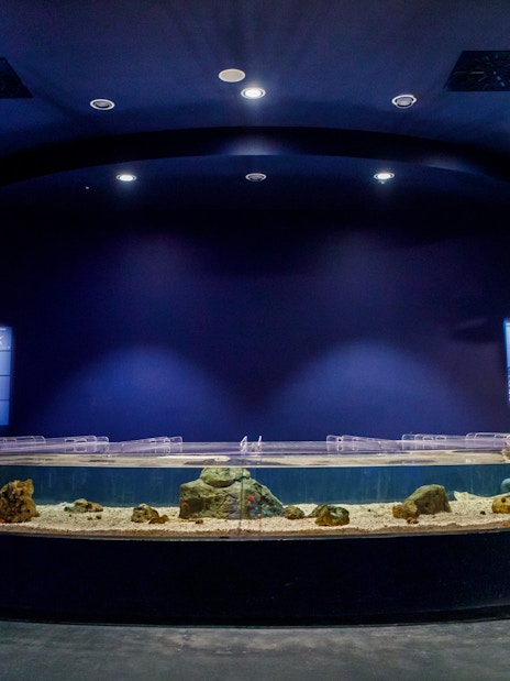 Aquarium tank with rocks and sand at Atlantis Aquarium Madrid.