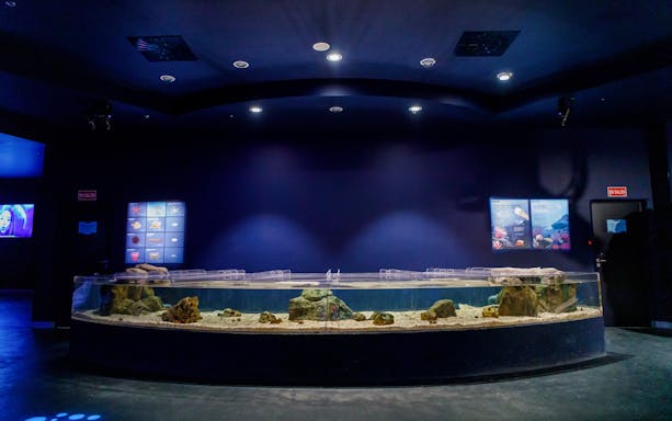 Aquarium tank with rocks and sand at Atlantis Aquarium Madrid.