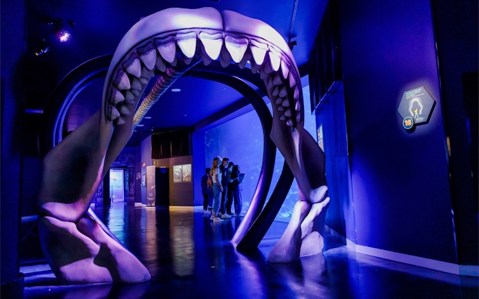 Visitors walking through giant shark jaws at Museum of Illusions Atlantis, Madrid.
