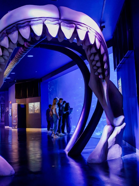 Visitors walking through giant shark jaws at Museum of Illusions Atlantis, Madrid.