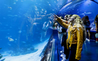 Visitors interacting with fish through glass tunnel at Aquarium Madrid.