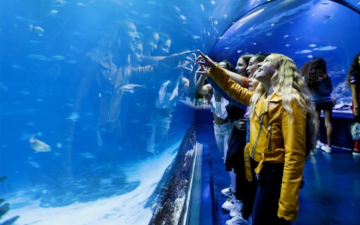 Visitors interacting with fish through glass tunnel at Aquarium Madrid.