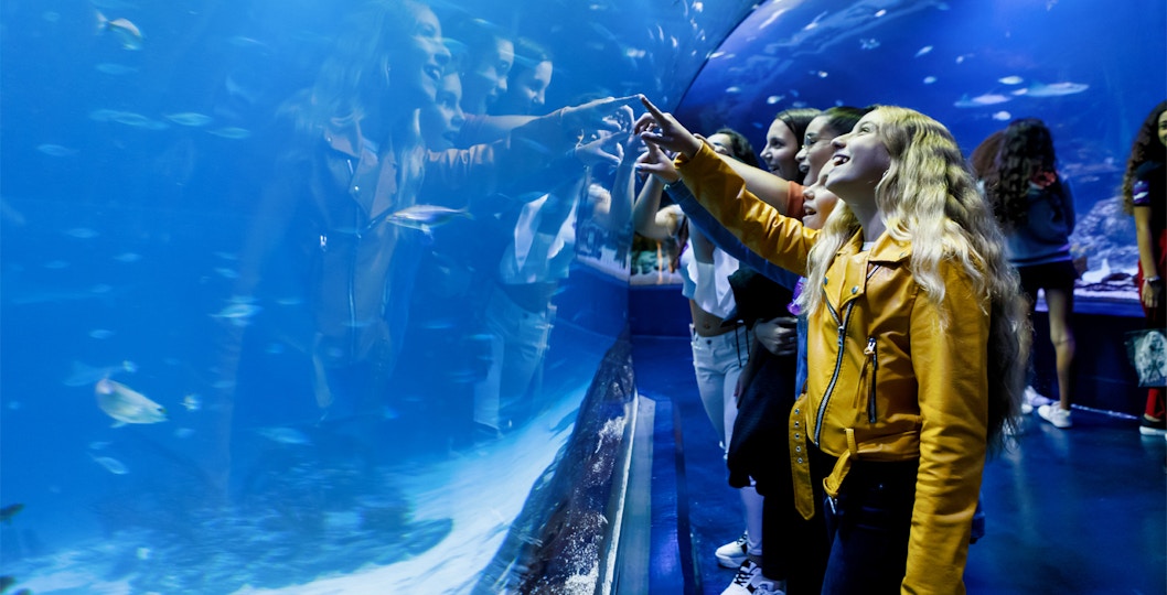 Atlantis Aquarium Madrid Tickets