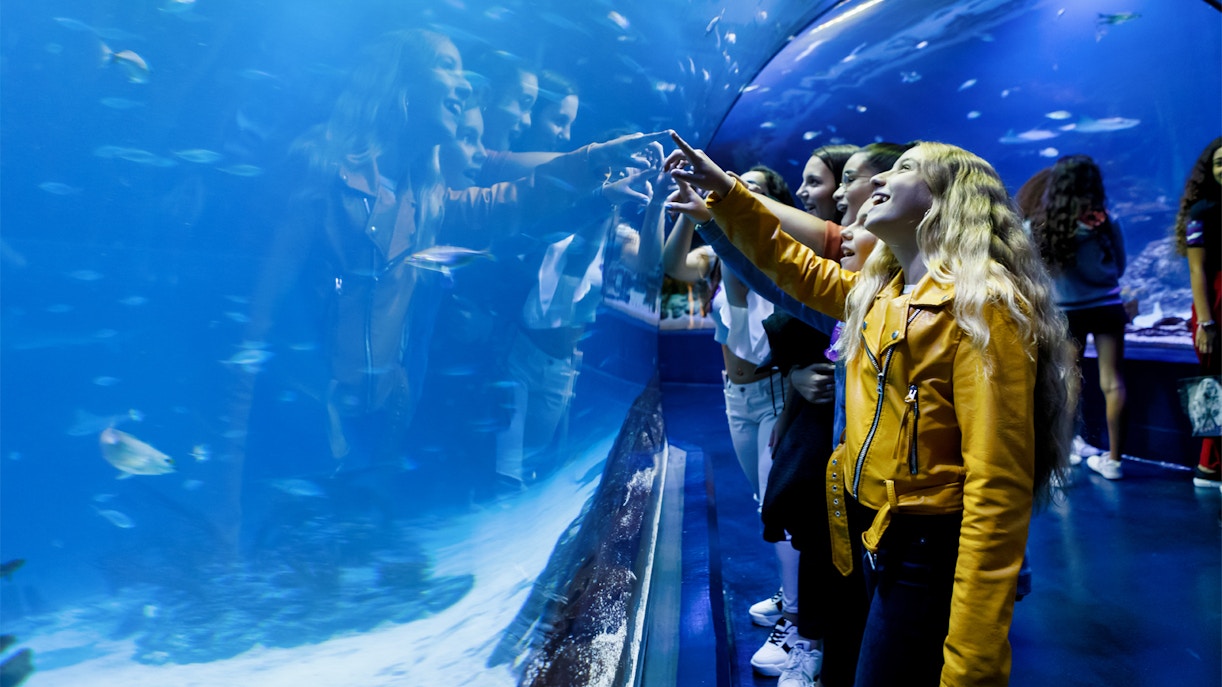 Atlantis Aquarium Madrid Tickets