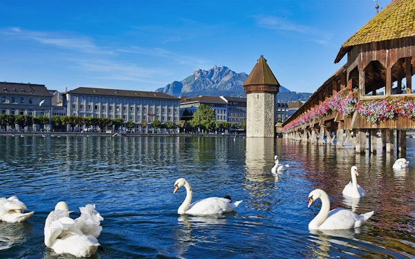 Day Trip to Lucerne from Zürich with Yacht Cruise