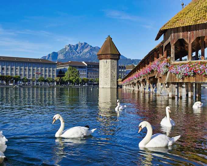 Day Trip to Lucerne from Zürich with Yacht Cruise