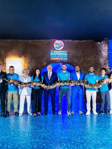 Staff holding a large snake at the National Aquarium Abu Dhabi.