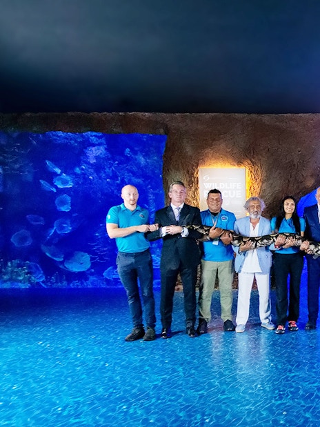 Staff holding a large snake at the National Aquarium Abu Dhabi.