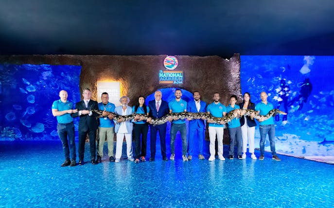Staff holding a large snake at the National Aquarium Abu Dhabi.