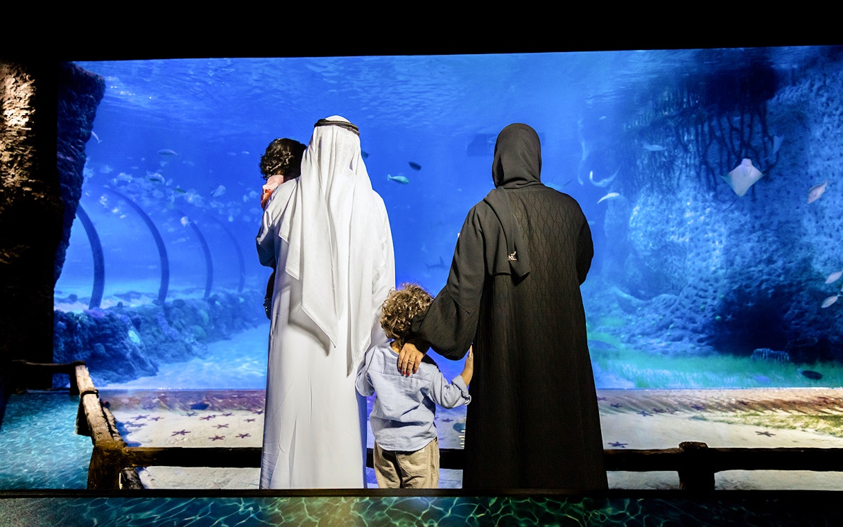 Family viewing marine life at National Aquarium Abu Dhabi.