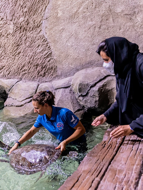 Person interacting with a sea turtle at the National Aquarium Abu Dhabi.
