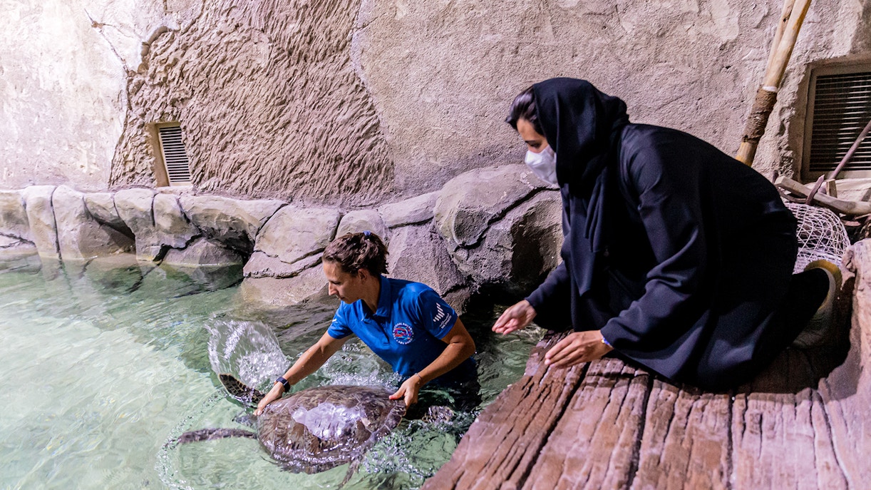 acuario abu dhabi