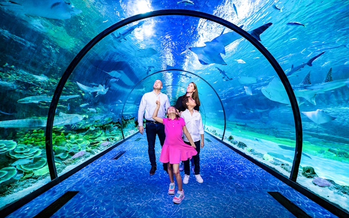 Family walking through underwater tunnel at National Aquarium Abu Dhabi.