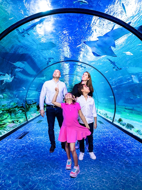 Family walking through underwater tunnel at National Aquarium Abu Dhabi.
