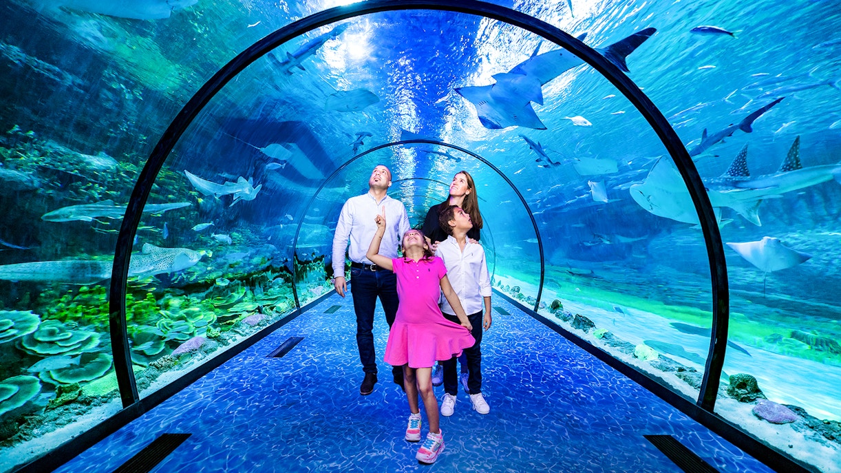 acuario abu dhabi