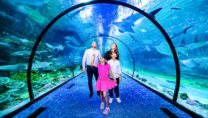 Walk through the world's longest underwater tunnel