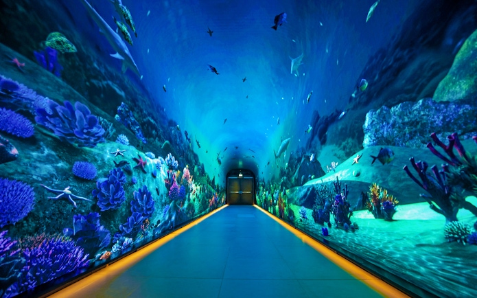 Underwater tunnel with marine life at Dubai Aquarium, leading to View At The Palm.