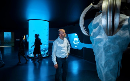 Man observing exhibit at IMG Worlds of Adventure with The View at The Palm display.