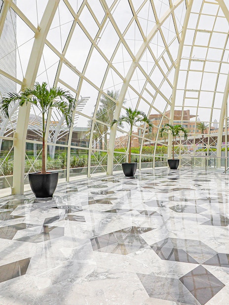 Modern glass atrium with palm trees at Dubai Frame, showcasing city views.