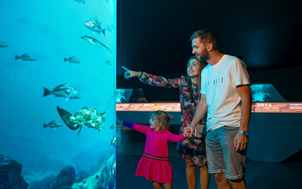 Family exploring Dubai Aquarium with diverse marine life, part of View At The Palm experience.