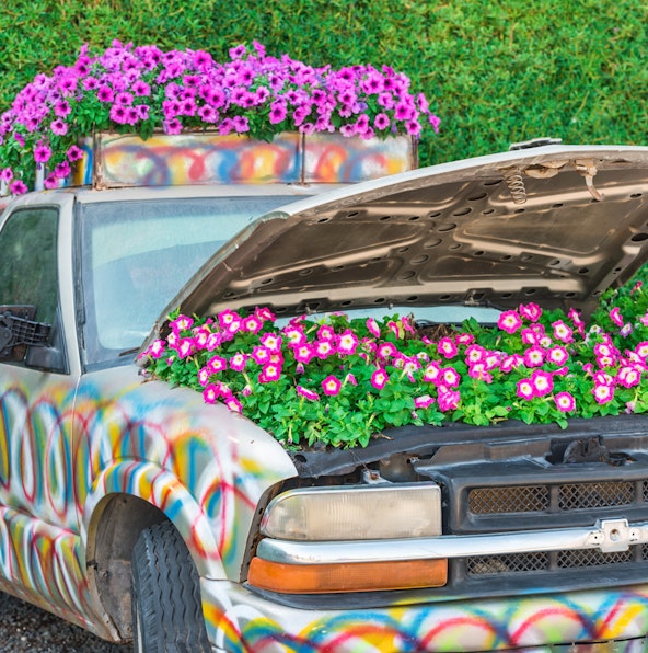 A blooming oasis in the desert: A guide to Dubai Miracle Garden