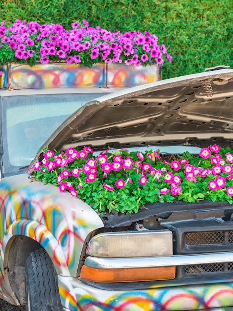 Colorful truck with flowers in the hood at Dubai Miracle Garden.