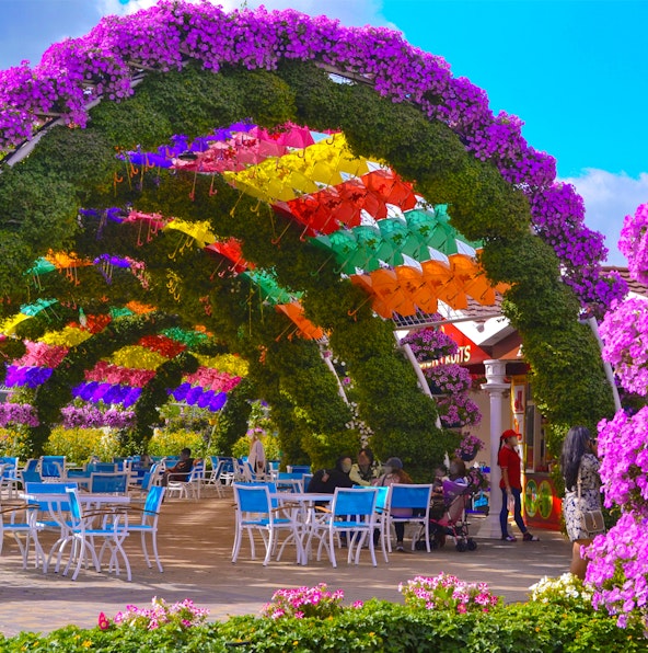 Visiting Dubai Miracle Garden: Location & access info