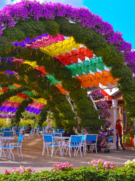 Colorful umbrella archway at Dubai Miracle Garden with visitors seated below.