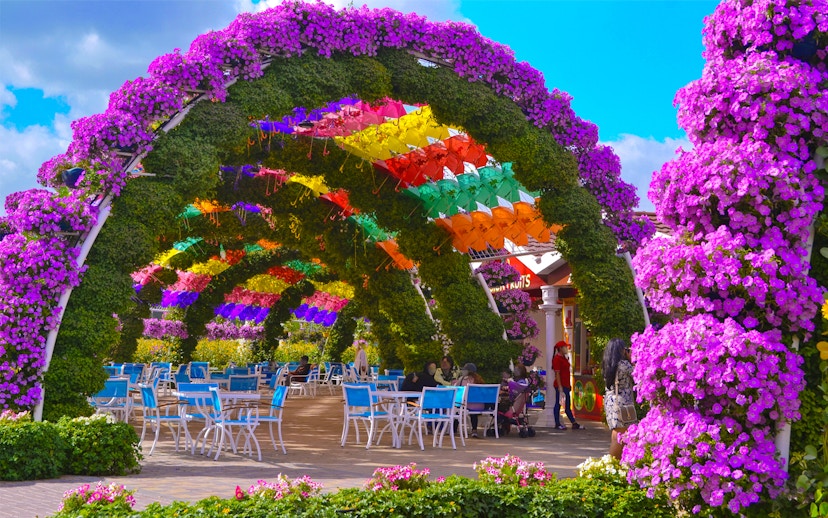 Colorful umbrella archway at Dubai Miracle Garden with visitors seated below.