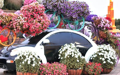 car surrounded by decoration in Dubai Miracle Garden