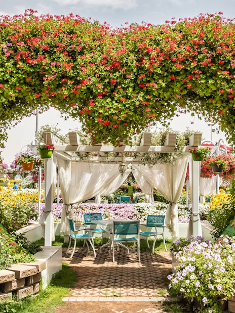 Floral archway and seating area at Dubai Miracle Garden.