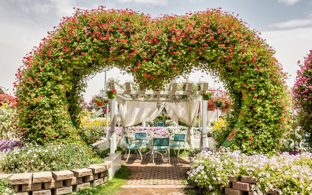 Floral archway and seating area at Dubai Miracle Garden.