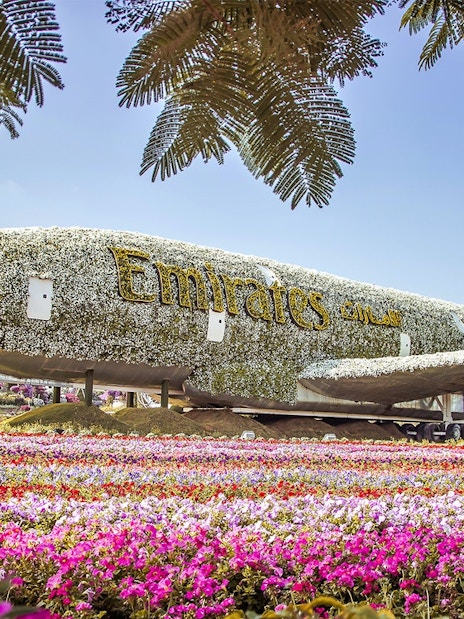 Emirates plane covered in flowers at Dubai Miracle Garden.