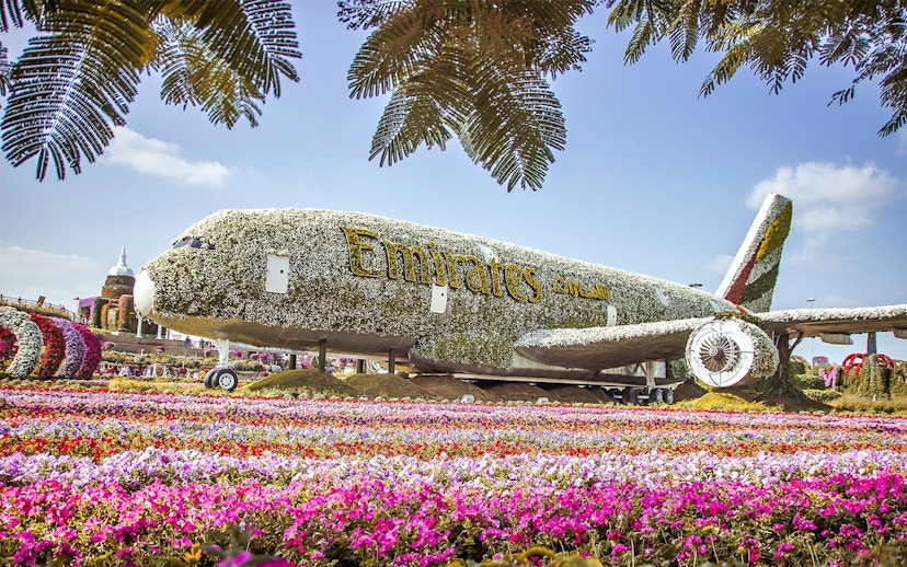Emirates plane covered in flowers at Dubai Miracle Garden.