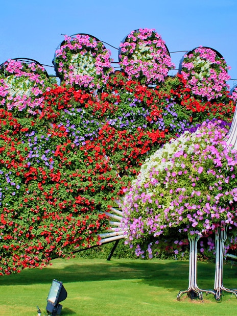 Floral peacock display at Dubai Miracle Garden.