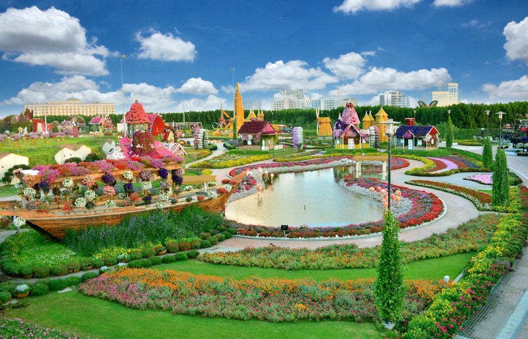 Miracle garden Rules