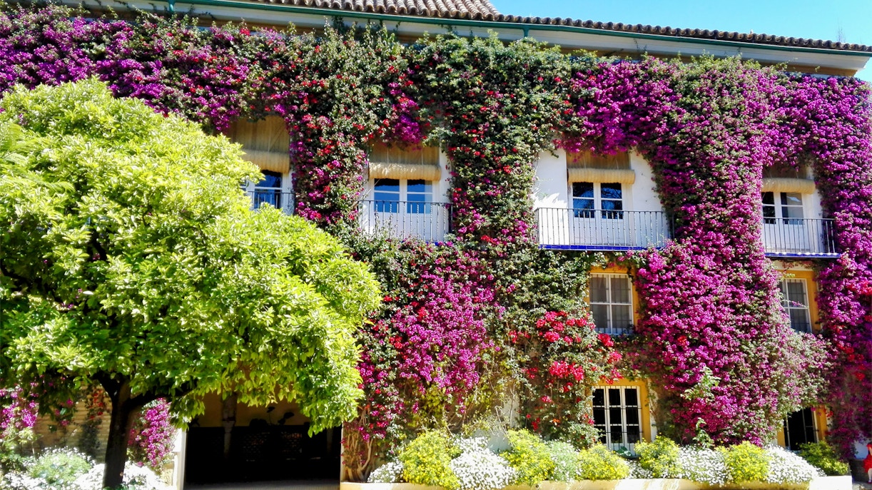 Palacio De Las Dueñas Tickets