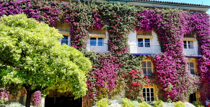 Palacio de las Dueñas