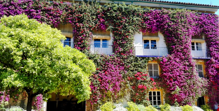 Palacio de las Dueñas