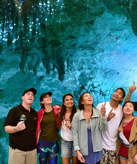 Group exploring glowworm-lit Waitomo Caves on Auckland tour.