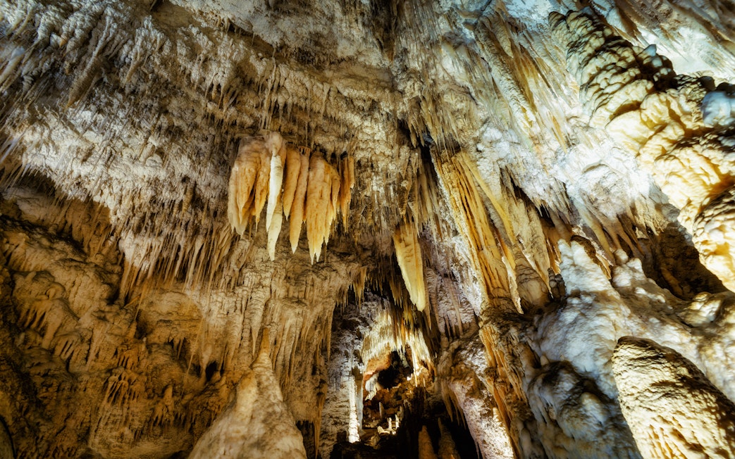 Stalactites in Waitomo Glowworm Caves, New Zealand, on a guided tour from Auckland.