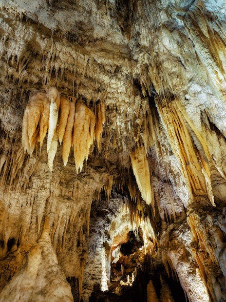 Stalactites in Waitomo Glowworm Caves, New Zealand, on a guided tour from Auckland.