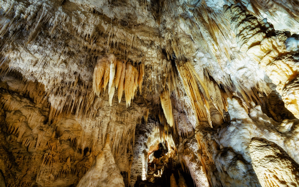 Stalactites in Waitomo Glowworm Caves, New Zealand, on a guided tour from Auckland.