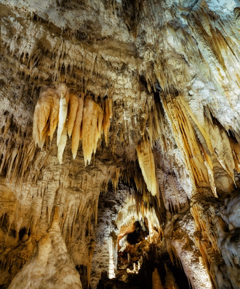 Stalactites in Waitomo Glowworm Caves, New Zealand, on a guided tour from Auckland.